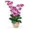 25" Double Phalaenopsis Silk Orchid Flower Arrangement in Ceramic Pot